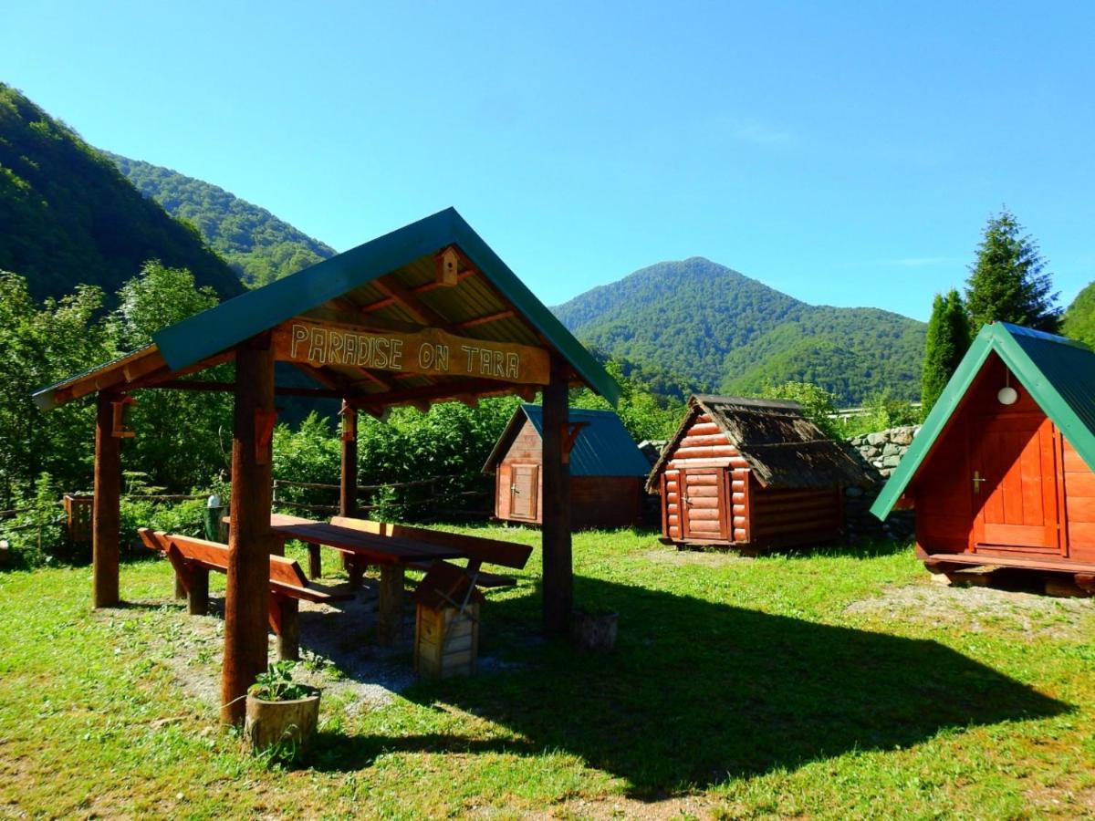 Private Accommodation Kalezic Мойковац Екстериор снимка