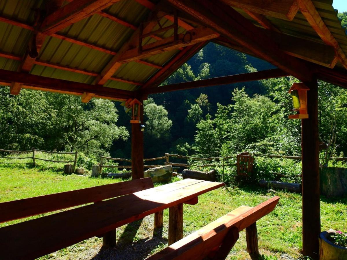 Private Accommodation Kalezic Мойковац Екстериор снимка