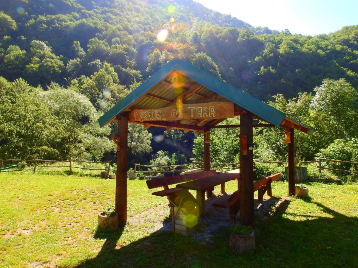 Private Accommodation Kalezic Мойковац Екстериор снимка