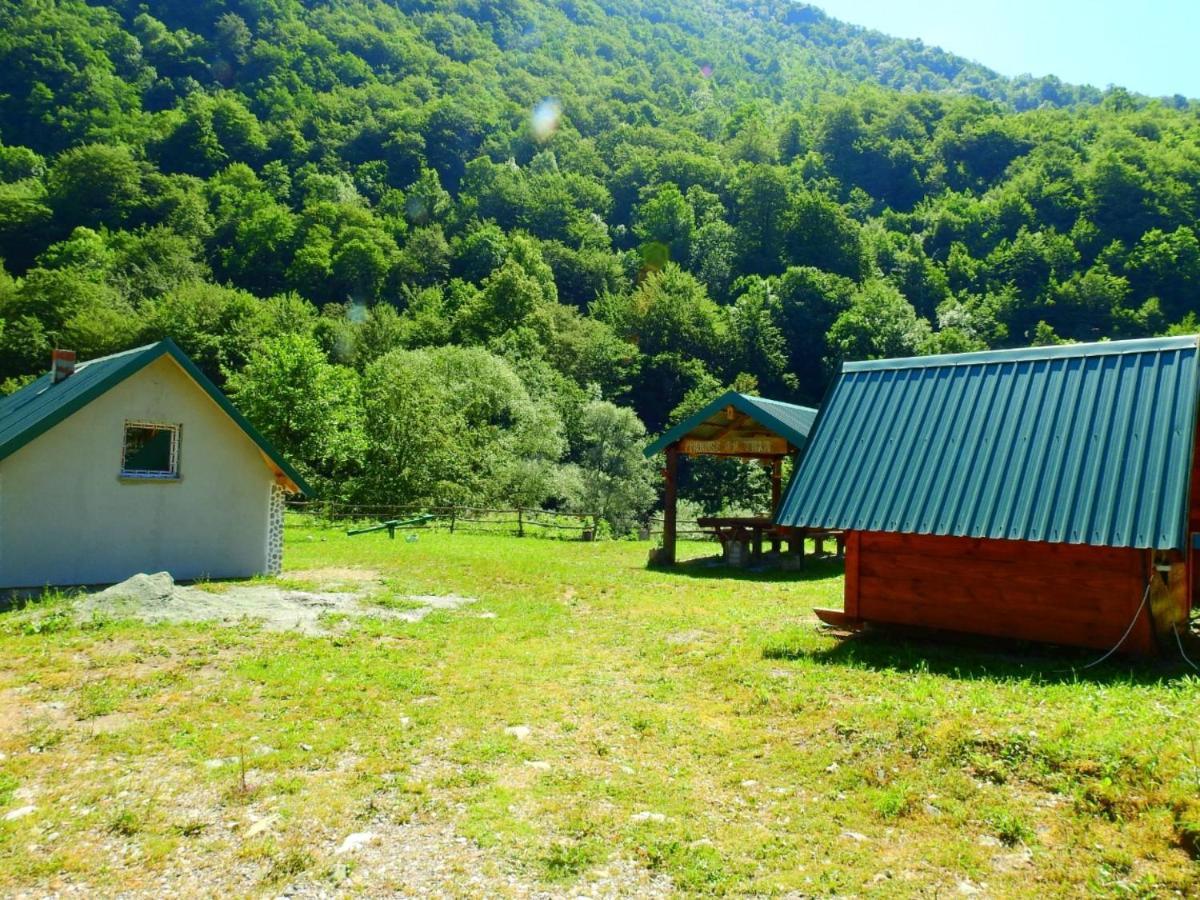 Private Accommodation Kalezic Мойковац Екстериор снимка